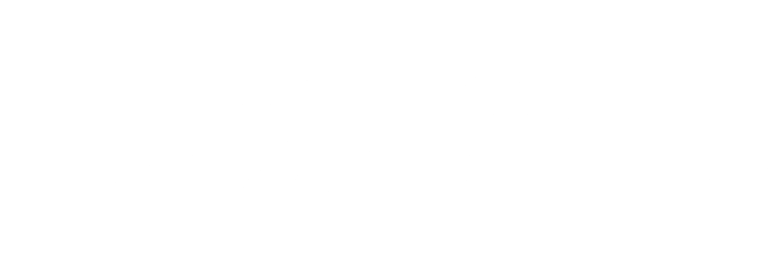 Color Logo Size
